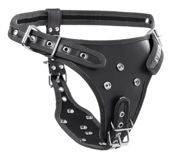 Double Penetration Strap On Harness Double Penetration Strap On Harness