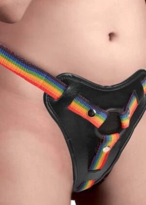 Rainbow Strap On Harness with Silicone O-Rings