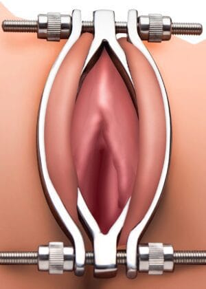 Stainless Steel Adjustable Pussy Clamp