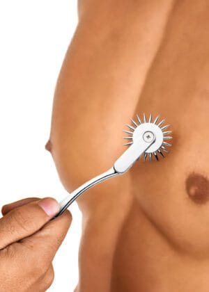 Silver Sensation Wartenberg Wheel