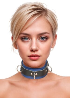Strict Leather Deluxe Locking Collar - Blue and Black