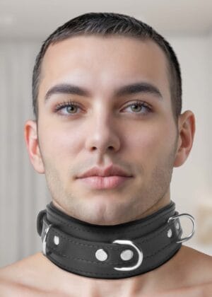 Strict Leather Premium Locking Collar