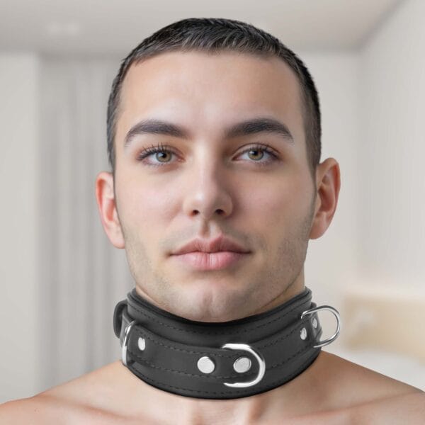 Strict Leather Premium Locking Collar Strict Leather Premium Locking Collar