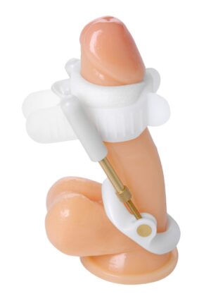 Size Matters Deluxe Penile Aide System