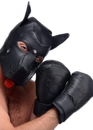 Strict Leather Padded Puppy Mitts