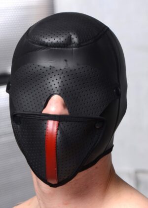 Scorpion Hood With Removable Blindfold and Face Mask