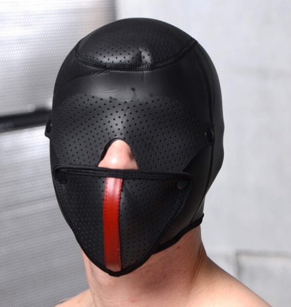 Scorpion Hood With Removable Blindfold and Face Mask Scorpion Hood With Removable Blindfold and Face Mask
