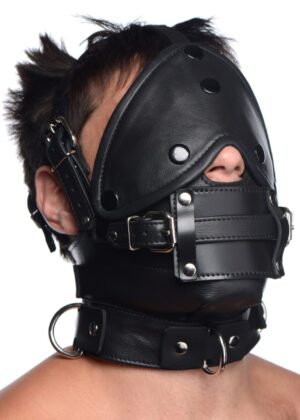 Leather Head Harness with Removeable Gag