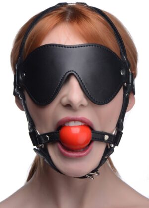 Blindfold Harness and Red Ball Gag