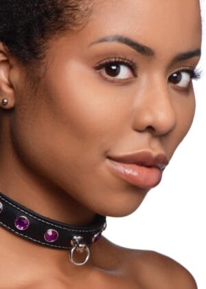 Royal Vixen Leather Choker with Rhinestones - Purple