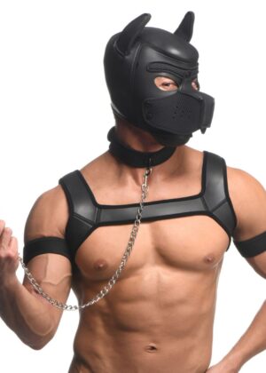 Full Pup Arsenal Set