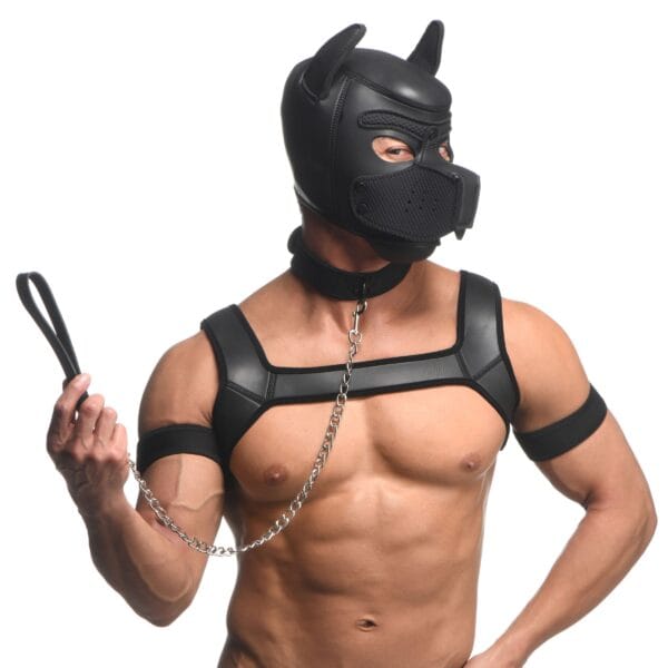Full Pup Arsenal Set Full Pup Arsenal Set