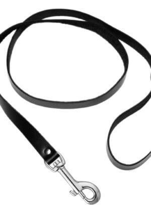 Strict Leather 4 Foot Leash