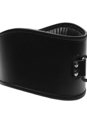 vf532-padded-locking-collar-original