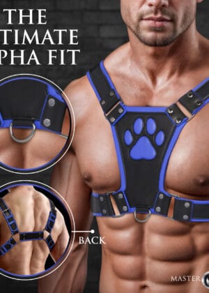 AH756-Blue_01
