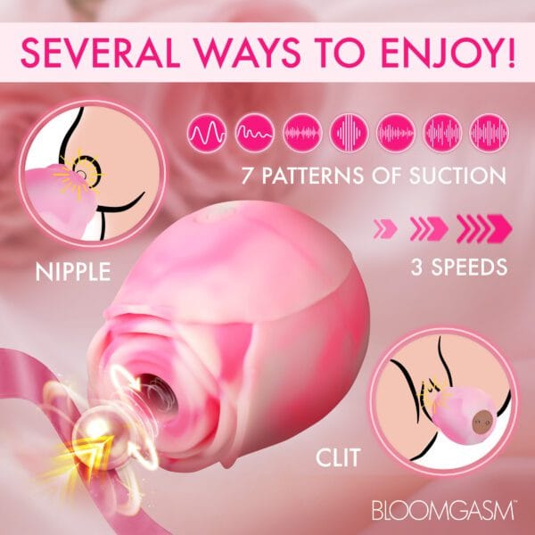 The Rose Lovers Gift Box - Pink Swirl The Rose Lovers Gift Box - Pink Swirl