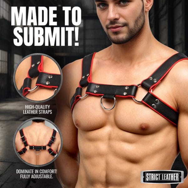Leather English Bull Dog Harness Black/Red Leather English Bull Dog Harness Black/Red