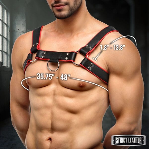 Leather English Bull Dog Harness Black/Red Leather English Bull Dog Harness Black/Red