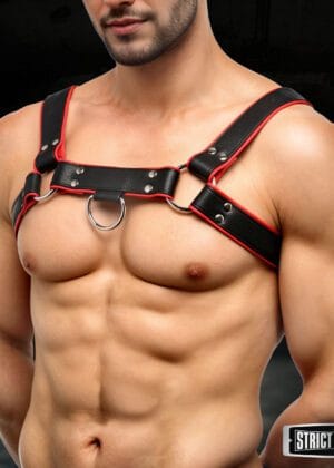 Leather English Bull Dog Harness Black/Red