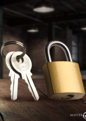 Brass Collar Padlock