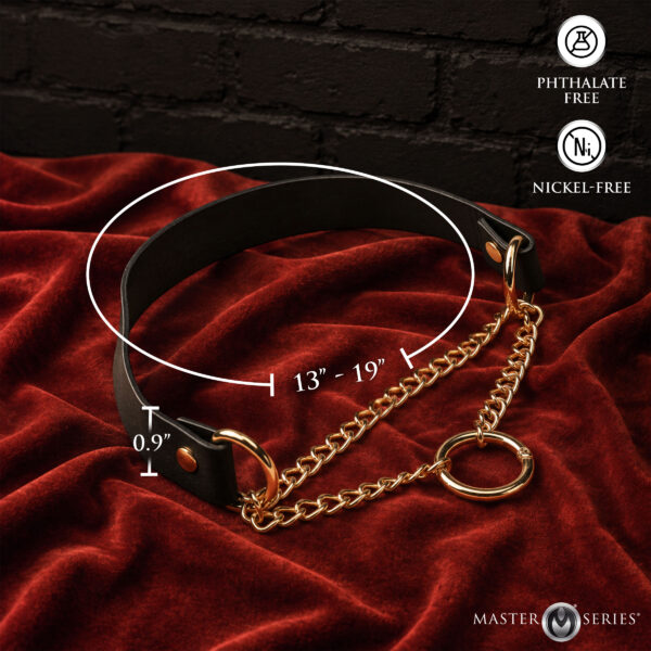 Halo Desire O-Ring Collar Halo Desire O-Ring Collar